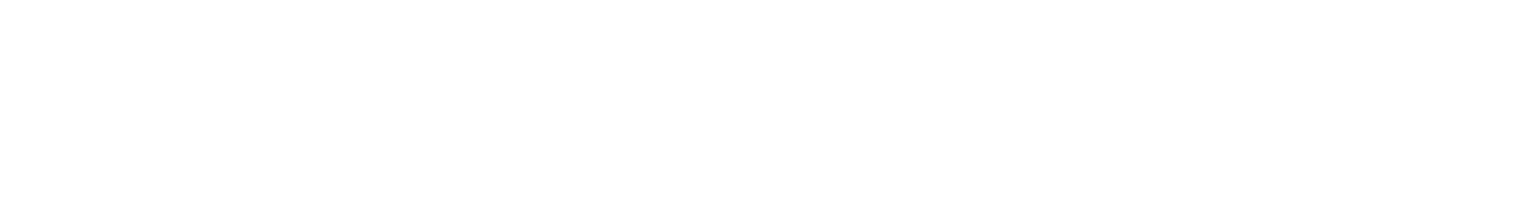 Ramesan Doraisami